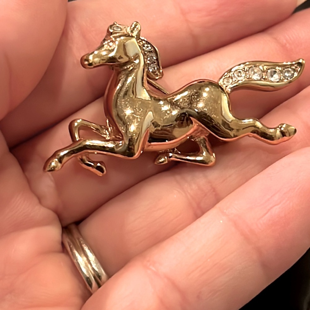Horse broach